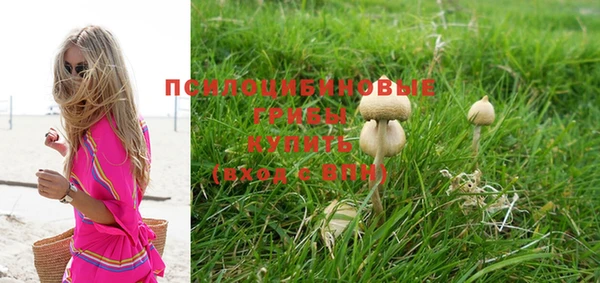 соль курить ск Аркадак