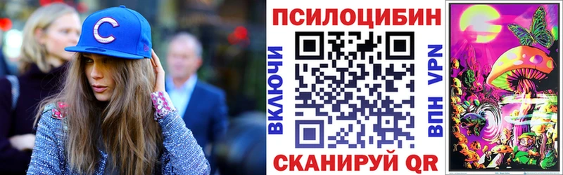 закладка  Миньяр  Псилоцибиновые грибы GOLDEN TEACHER 