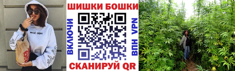 Канабис планчик  Миньяр 